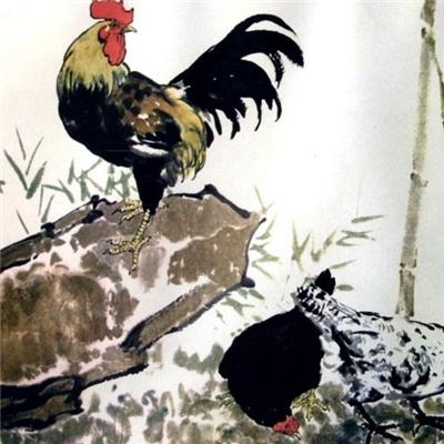 生肖鸡事业运势分析男生(属鸡的男人的事业)