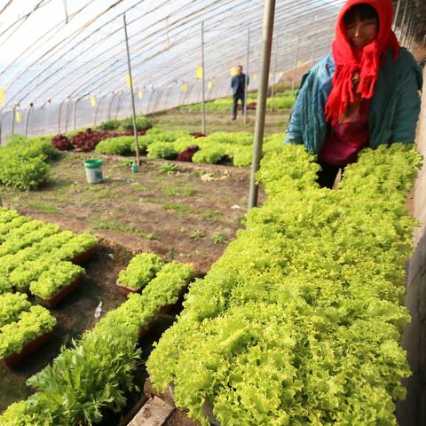 山东天津哪个发达