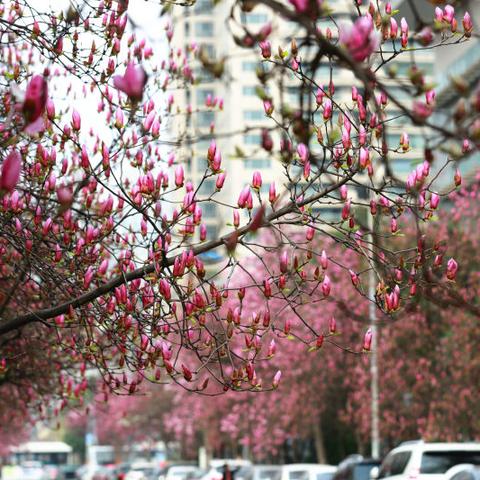 西安近来天气相关长尾关键词有哪些