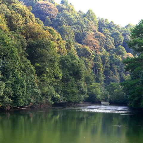 芜湖一个月天气的长尾关键词有哪些