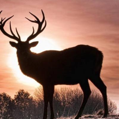 偏财偏印格(偏财偏印格男命)