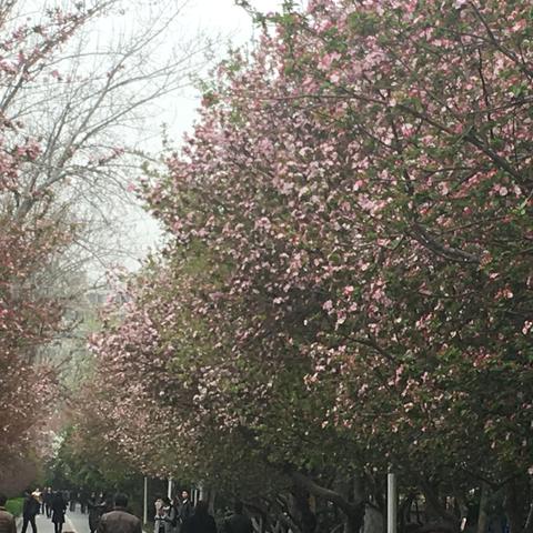 郑州国庆天气怎么样