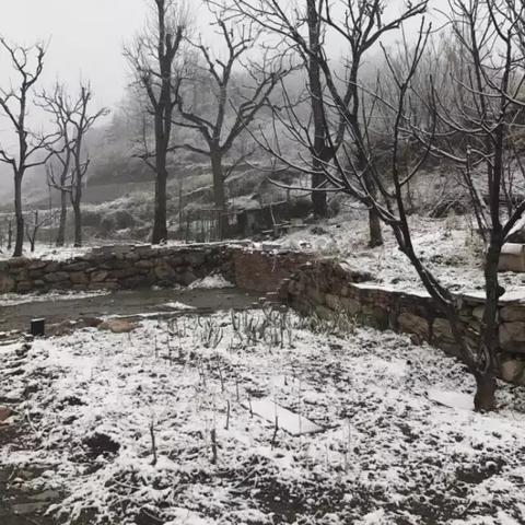 天津大气情况怎么样