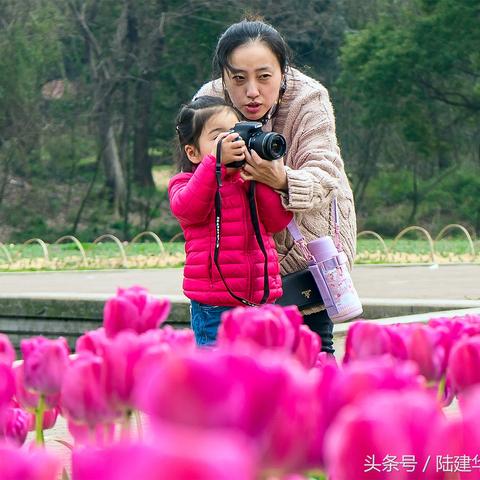 梅园位于无锡市哪里