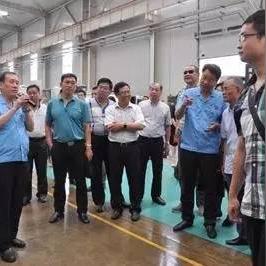 石家庄市划归哪个区