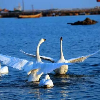 2025.11.10临沂今日气温变化情况