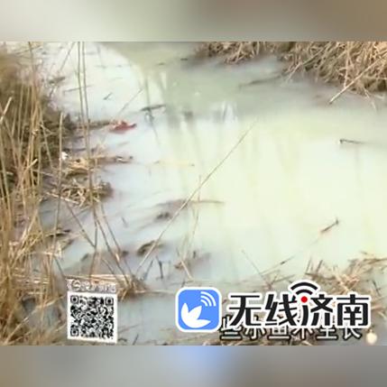 济南市小小麦销售电话是多少