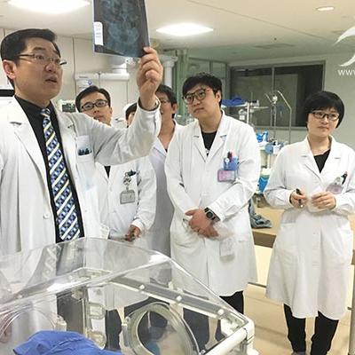 天津话中的胡是什么意思
