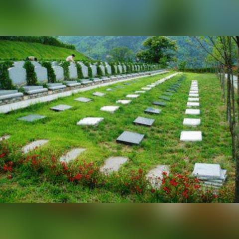 苏州市什么时候放开限购政策