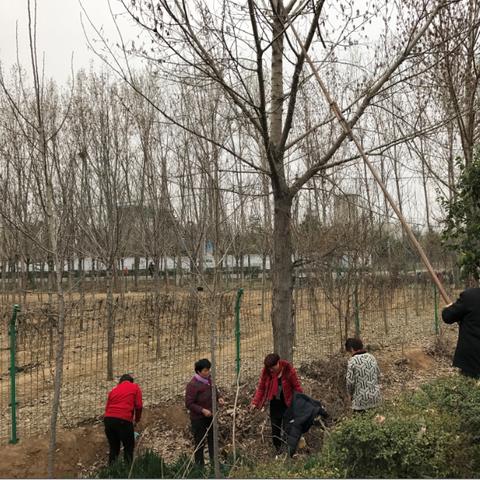 临沂市杨树新村开发的长尾关键词有哪些