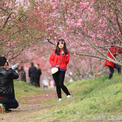 合肥慢城相关长尾关键词有哪些