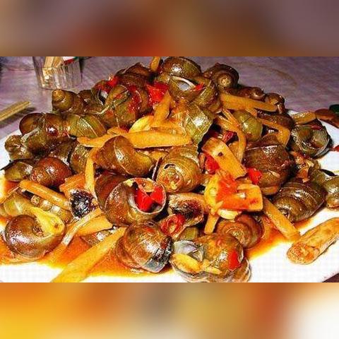 桂林哪里有养田螺的相关长尾关键词有哪些