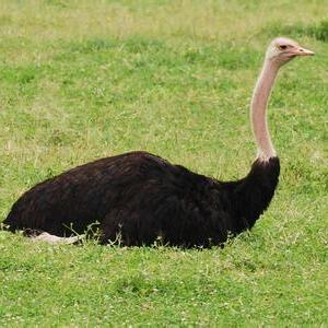 上海买车票需要哪些证件