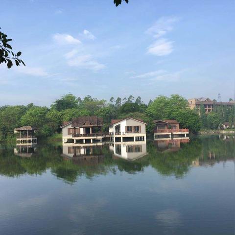 厦门市民卡什么时候到期