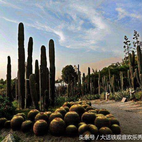 厦门市公交车资费多少