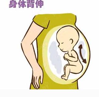 梦见自己怀孕还有胎动