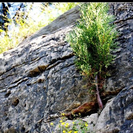 济南市有哪些古城遗址