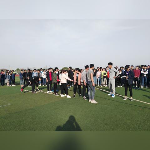 合肥物流带车招聘相关长尾关键词有哪些