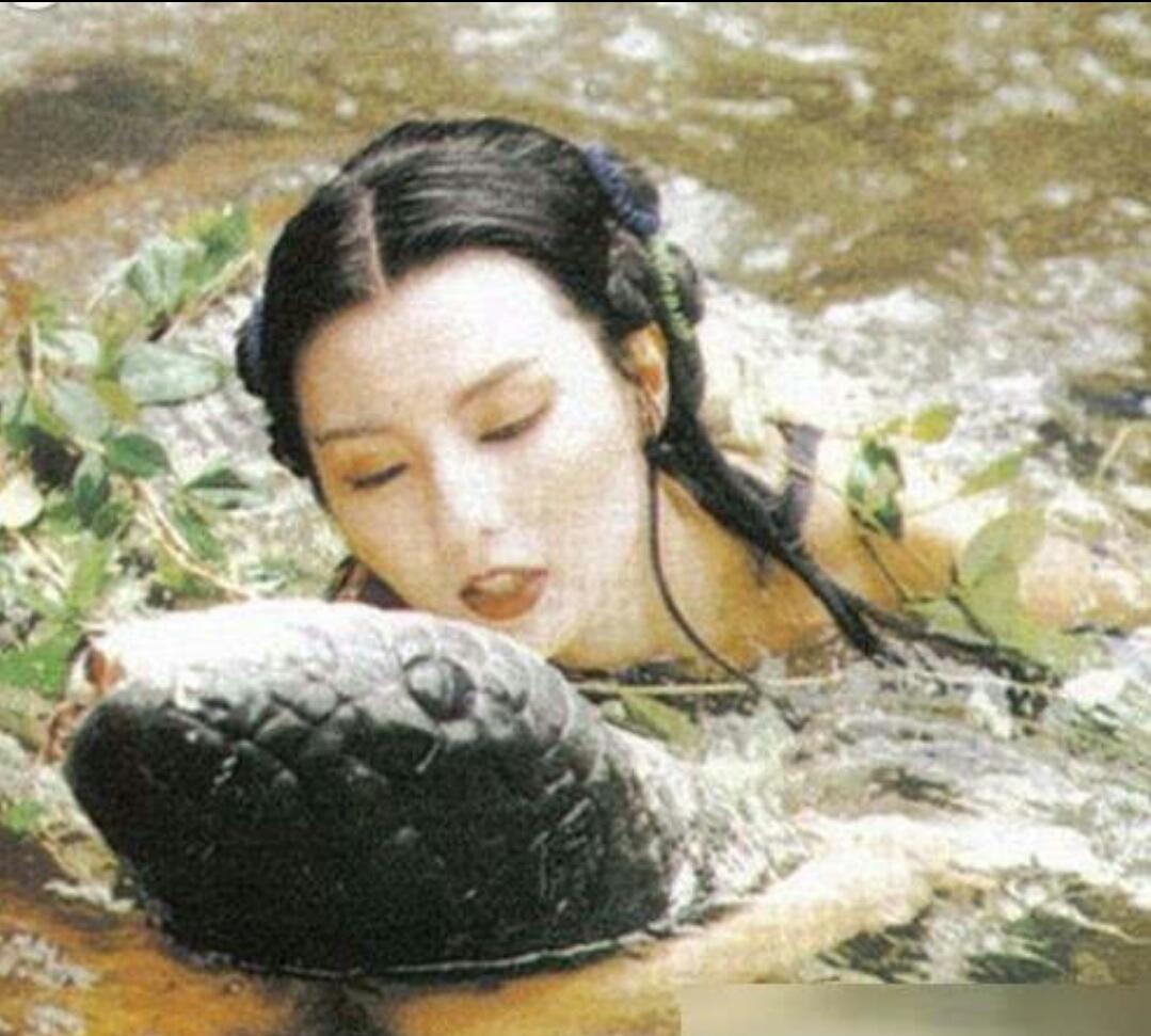 梦之大观，大蟒蛇咬小蛇——断尾之谜的深层解析