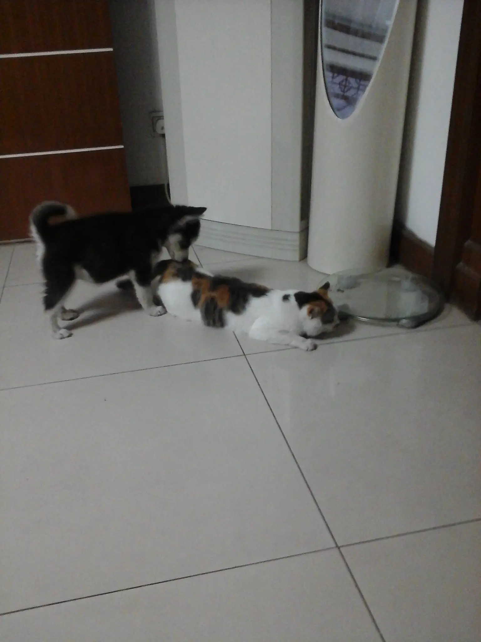 网站修改标题多久恢复 网站标题多久能恢复正常