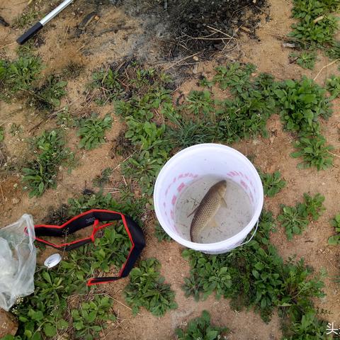 临沂市免费钓鱼的长尾关键词有什么