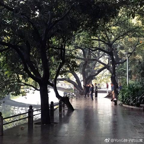 广州市别称什么城