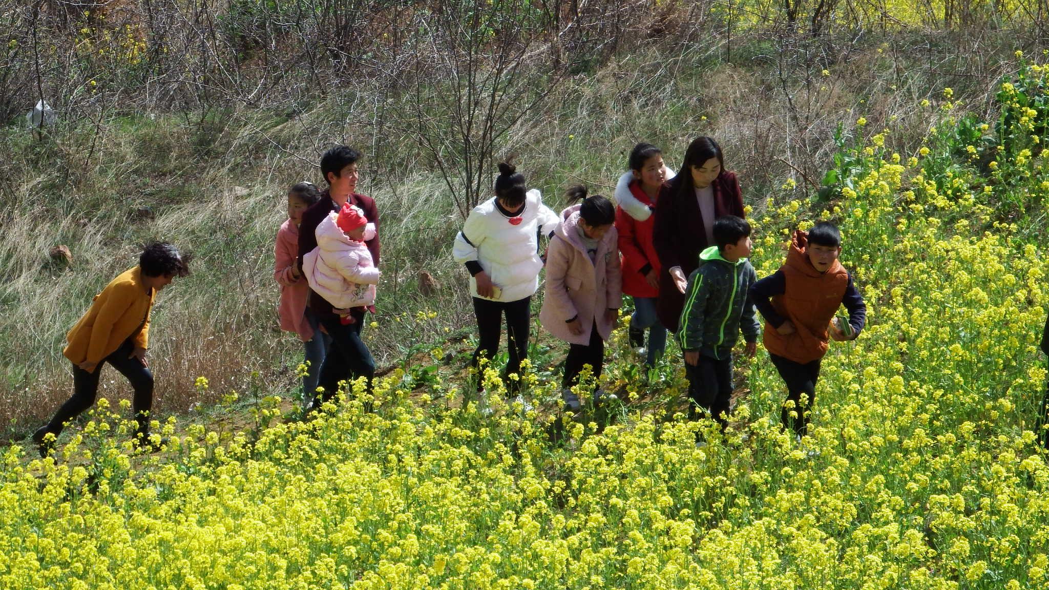洛阳嵩县有什么美食（洛阳周边哪里人少景好能露营）