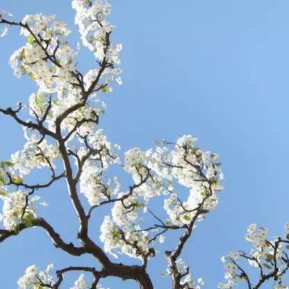 石家庄市到乌镇报价的长尾关键词有哪些