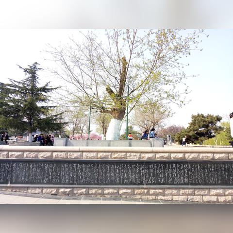 临沂市清明节禁止的长尾关键词有哪些