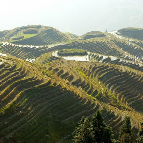 桂林需要租车多少钱相关长尾关键词有哪些