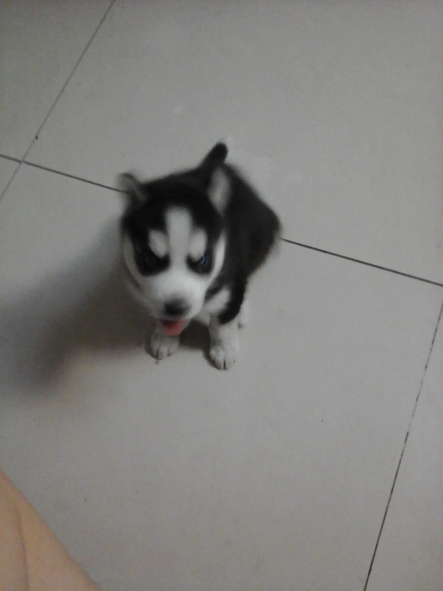 网站标题被改了怎么改回来 网站修改标题被K在改回去可以吗