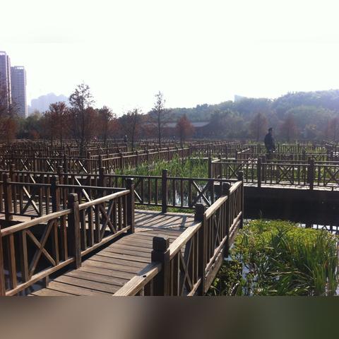 什么公园比较好玩厦门市