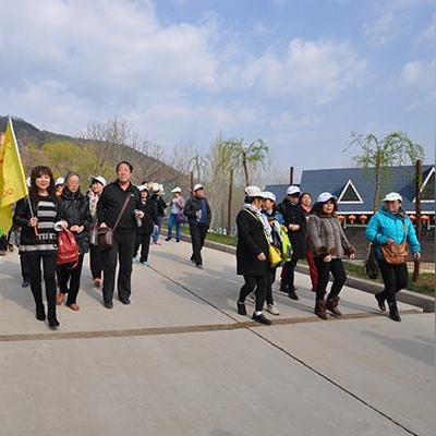 西安独生子女补贴金网上申请流程？