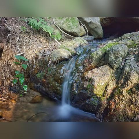 厦门 4月 天气的相关长尾关键词有哪些