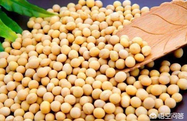 大豆科技论文研究思路关于大豆的正确品名品质标准