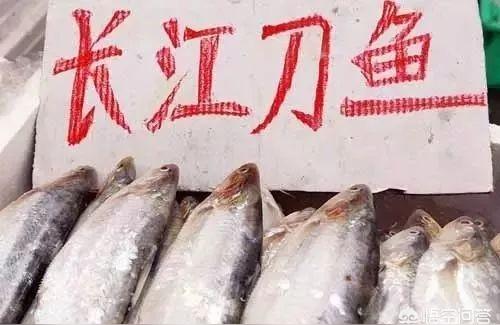 长江河有什么美食（东汉名菜）
