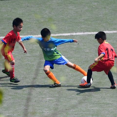 南宁壮族自治天气的相关长尾关键词有哪些