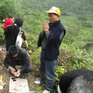 狗本生肖本命年运势如何(狗本命年的大忌)