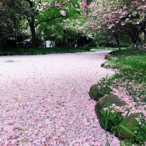 宁波市哪个公园在改造的