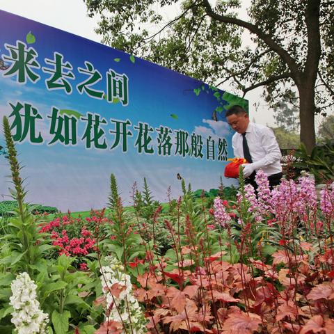 杭州植树葬的相关长尾关键词有哪些