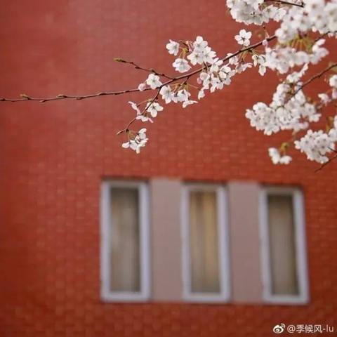 无锡市北在哪个区