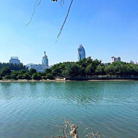 厦门市的市区是什么区域