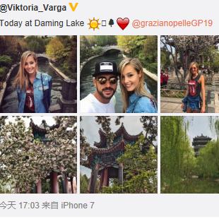 济南市什么地方卖狗粮