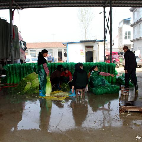 沈阳雇人做饭多少钱相关长尾关键词有哪些 沈阳雇人做饭多少钱相关长尾关键词有哪些