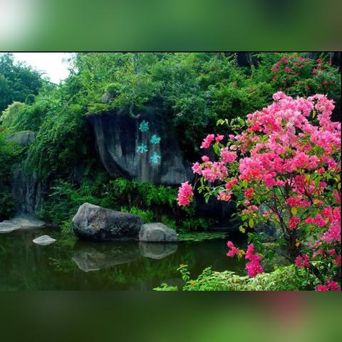 厦门市园林植物园从哪里免费进去