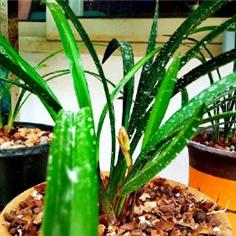 沈阳洁排水相关长尾关键词有哪些