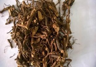 茅莓的功效与作用(今天在路边看到的)