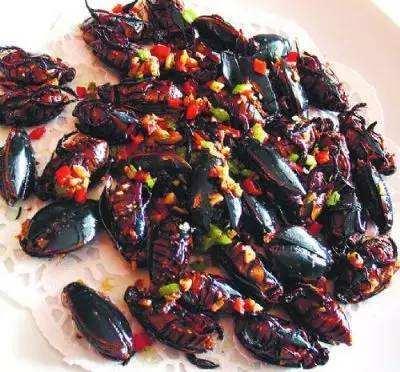 泥巴可以制作什么美食（广东梅州有哪些值得一去的地方有哪些美食）