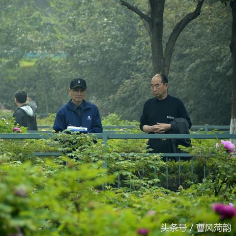 菏泽市天香路变化的长尾关键词有哪些
