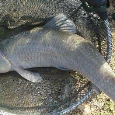 云南边境天气的长尾关键词有什么